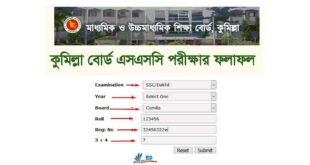 SSC Result 2024 Comilla Education Board - with Marksheet Number