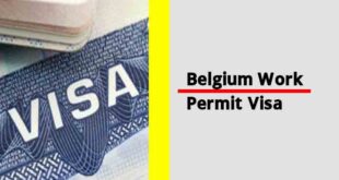 Belgium Work Permit Visa 2024 - Visa Application Process