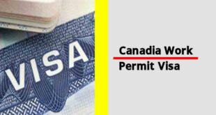 Apply For Canadian Work Permit Visa 2024