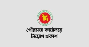 Municipality Job Circular 2024 - All District পৌরসভায় নিয়োগ প্রকাশ