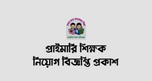 Primary School Teacher Job Circular 2024