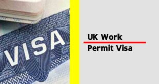 UK Work Permit Visa in 2024 How To Apply